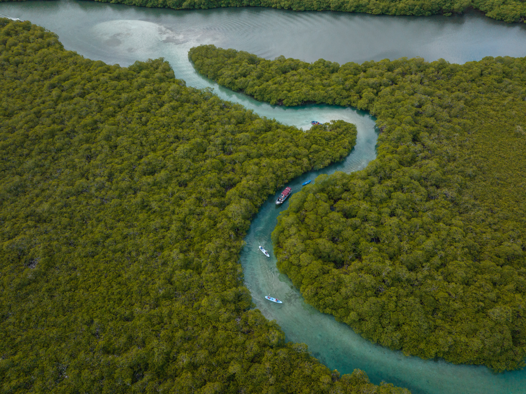 Panamá, destino de naturaleza y sostenibilidad